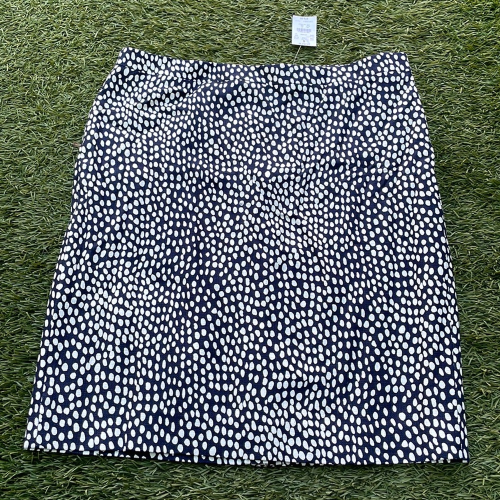 J. Crew Skirt